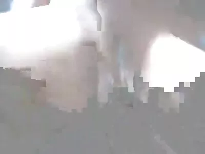 थोडी गांड असलेली कुत्री बीबीसीला मिळते